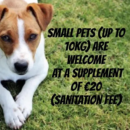 מלון Belsoggiorno סנרמו